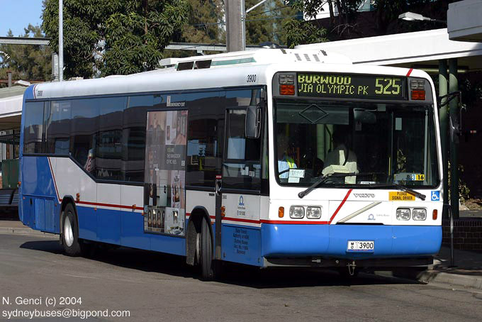 Bus Interchange - Buses From Around Australia